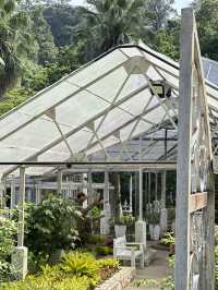 Leaves, Legends & Life Advice – The Herb Garden Experience