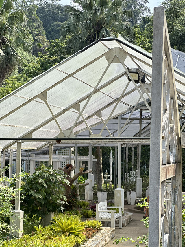 Leaves, Legends & Life Advice – The Herb Garden Experience