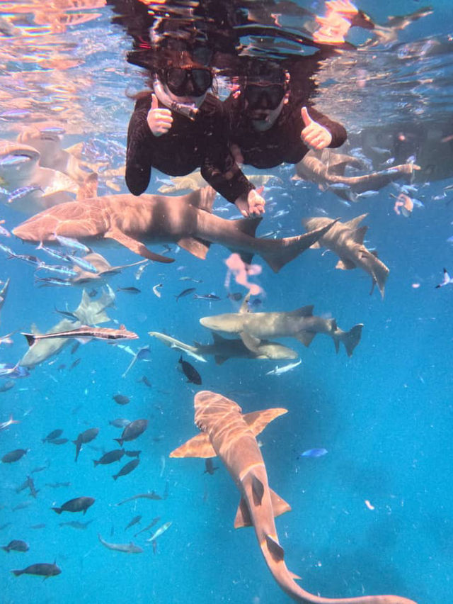 Love in the Maldives: The Ultimate Couples’ Escape