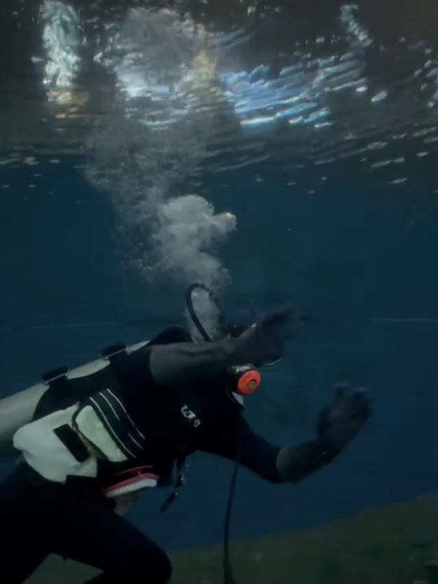Underwater  world pattaya