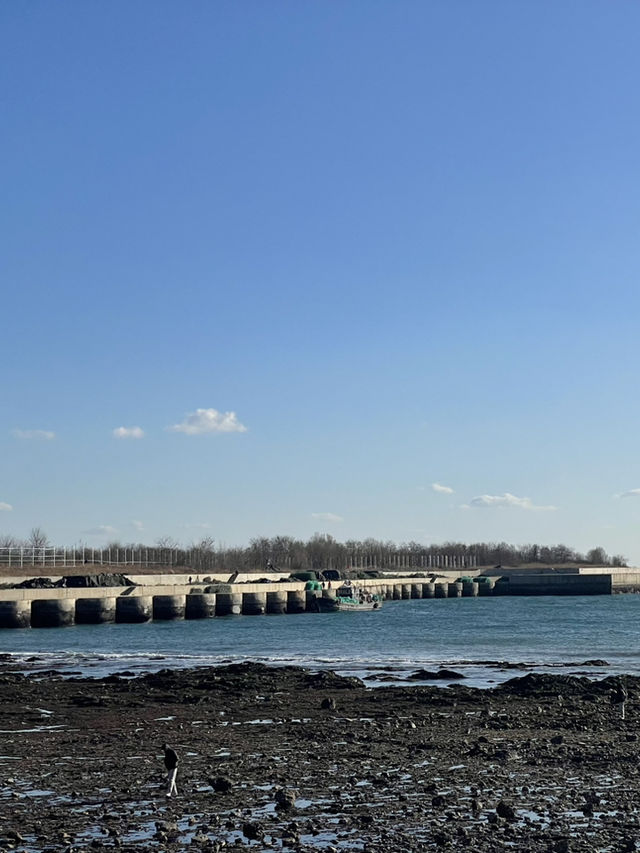 大連 — 山海之城，浪漫之都