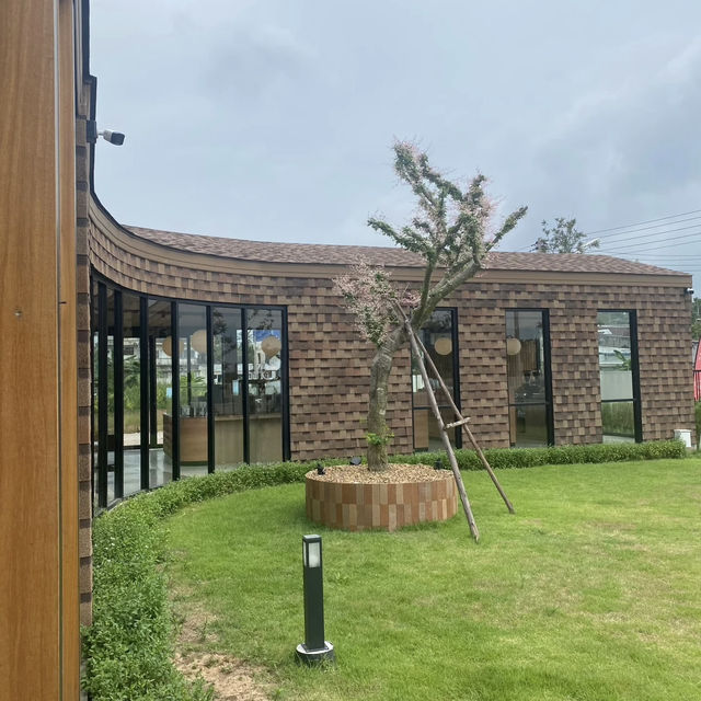 Bright Borderside Chill – My Visit to HoCo Cafe & Eatery, Sadao