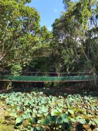 Discovering Borneo’s Heart: A Wander through Sabah Museum
