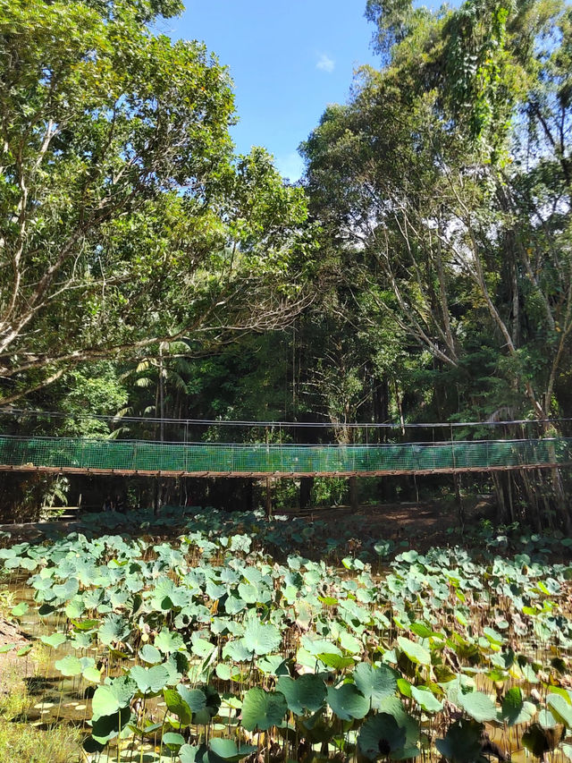 Discovering Borneo’s Heart: A Wander through Sabah Museum