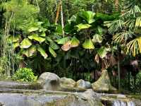 A Breath of Green at Perdana Botanical Garden