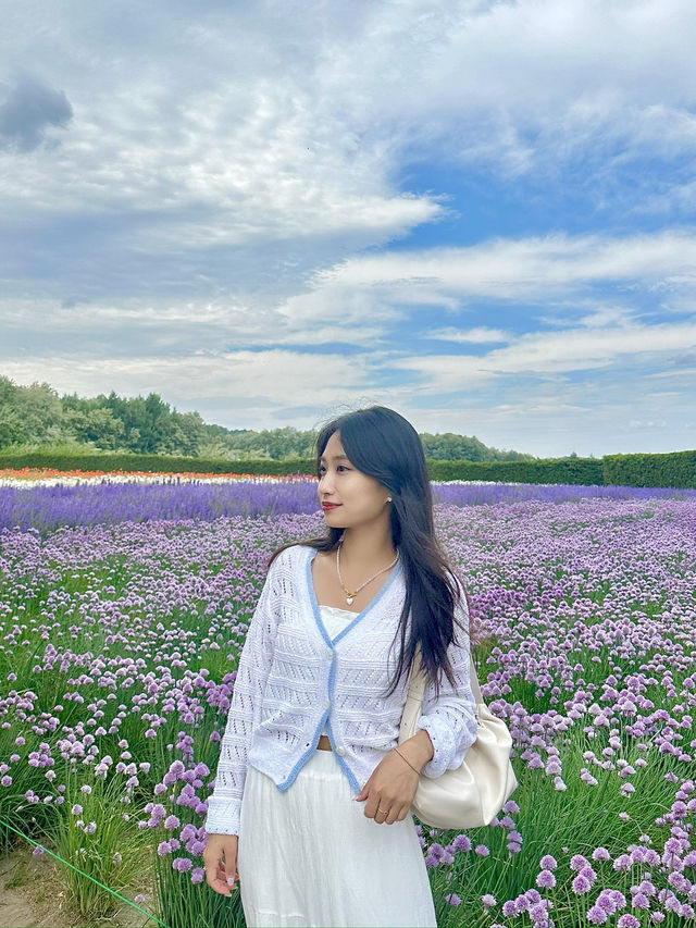 아름다운 이곳 방문추천