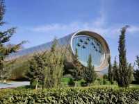 Wandering Tbilisi