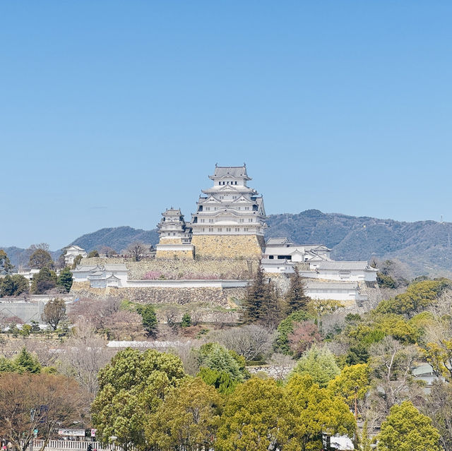 🏯 姬路城・兵庫縣姬路市 🏯 姬路城・兵庫縣姬路市