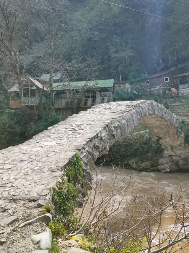 A Quick Splash of Nature at Makhuntseti Waterfall