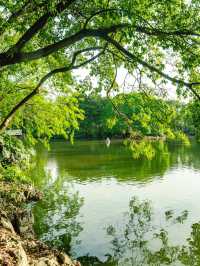 Don’t Miss This Dreamy Free Park in Liuzhou!