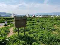 Nalati Scenic Area：Lush Green Grasslands