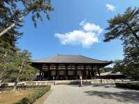 奈良唐招提寺：中日佛教律宗的精神軌跡