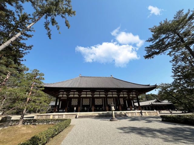 奈良唐招提寺：中日佛教律宗的精神軌跡