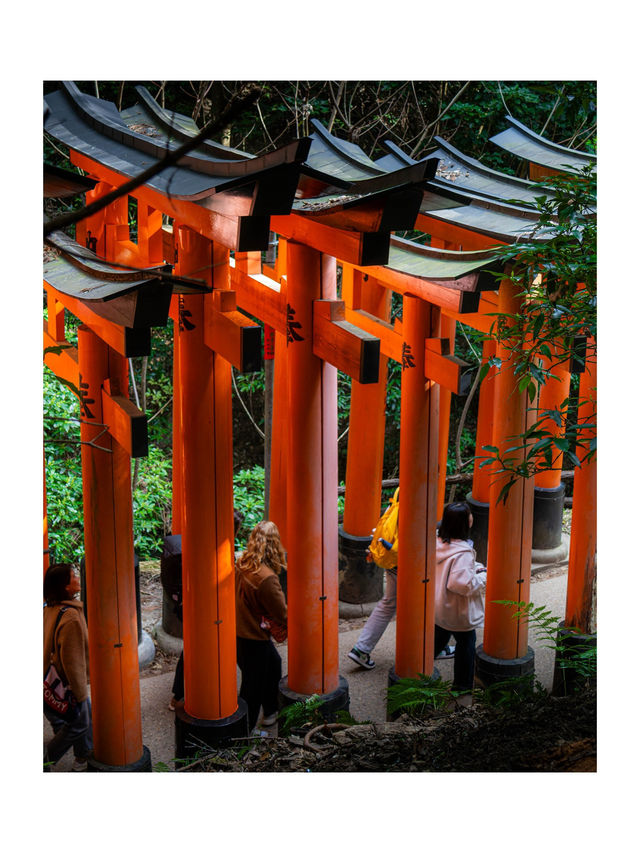 📍京都 - 伏見稻荷大社