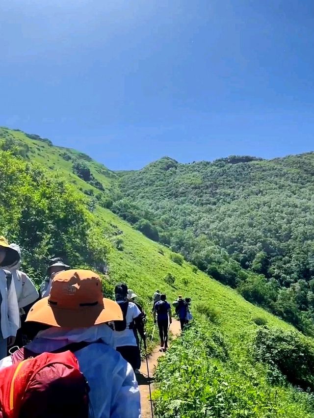 “The Nine-Headed Crown of Sichuan”