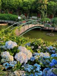 💐Mengcheng Garden, Kunming – A Dreamy English Flower Wonderland You Must Visit!