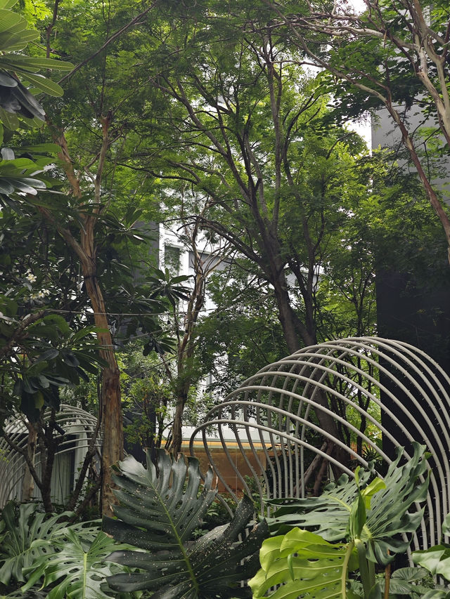 รีวิวโรงแรม Dusit D2 Huahin