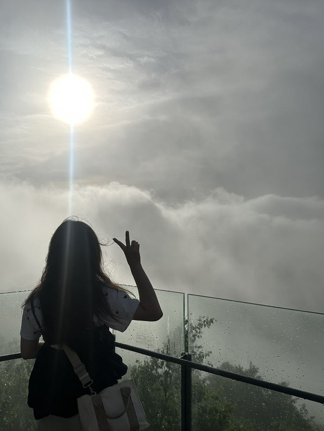 【北海道】絶景の雲海☁️死ぬまでに見たい絶景