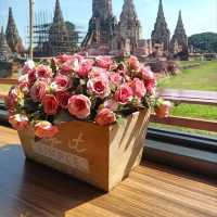 🌞ร้อนนี้เที่ยววัดไชยวัฒนารามนั่งคาเฟ่วิวสวย