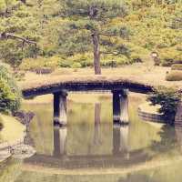 Rikugien Garden: A Solo Traveler’s 300-Year-Old Paradise in Central Tokyo"** 🌸🏯  