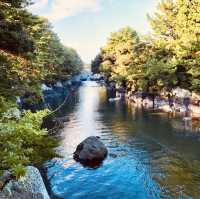 🌿💦 *Soesokkak Estuary: Jeju’s Secret Emerald Paradise* 🚣♀️🌊