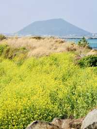 Secluded Gem with Untamed Volcanic Beauty