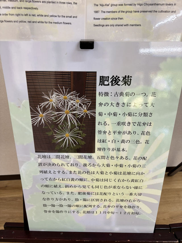 熊本水前寺成趣園-肥後六花