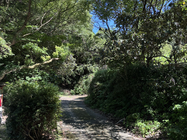 三角宇城市國際交流村傳統工藝館 ＆ 三角西港展望所：歷史與風景的雙重饗宴
