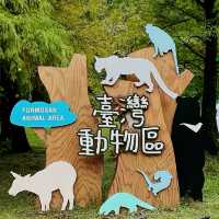 Taipei Zoo with Kids and Grandparents: How We Explored Comfortably