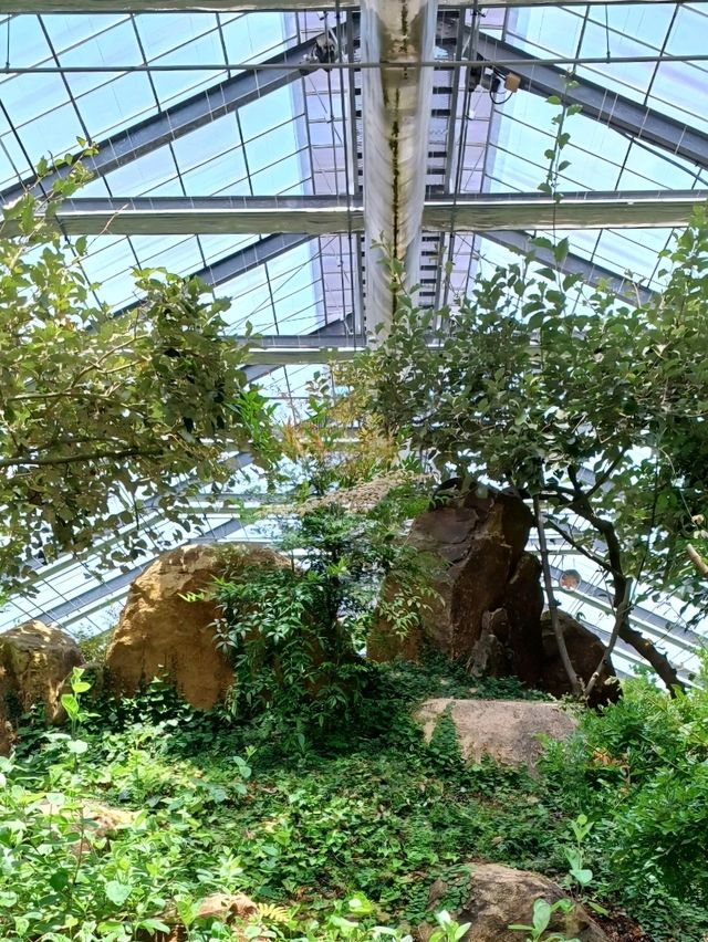 🌿 진주수목원, 실내외에서 자연을 온몸으로!