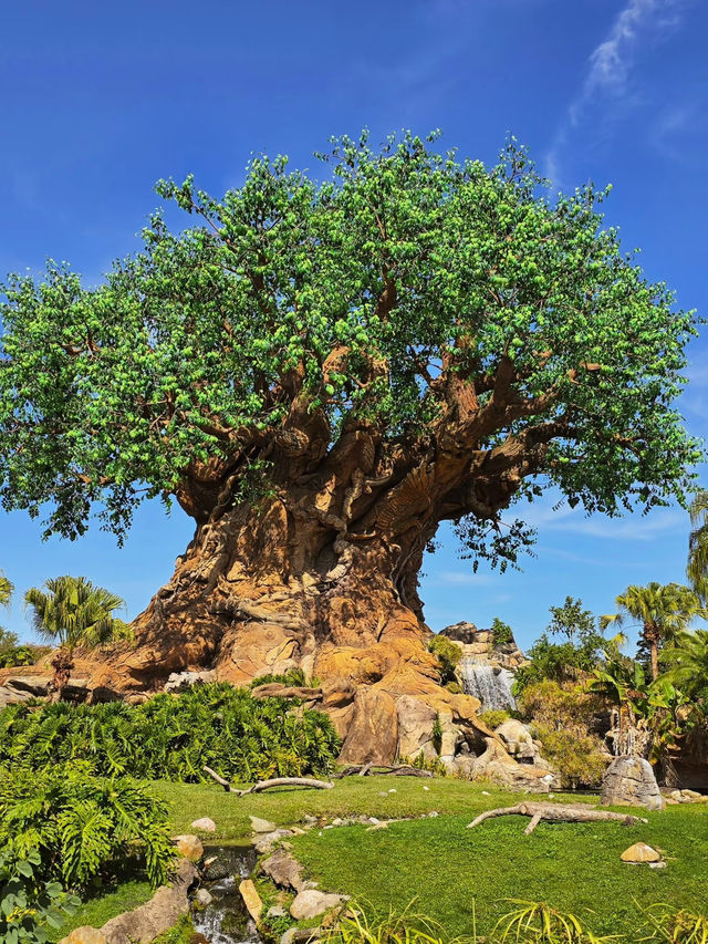 Disney’s Animal Kingdom Highlights | Avatar, Safari & Himalayan Thrills