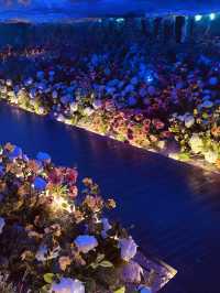 A Holistic Wellness and Relaxation Oasis