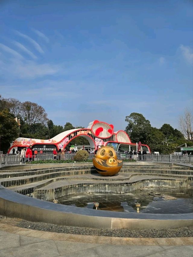 “Panda Paradise: Chengdu’s Living Conservation Garden”