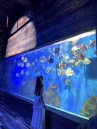 🌊 Quanzhou Oulebao Ocean Kingdom 🐋