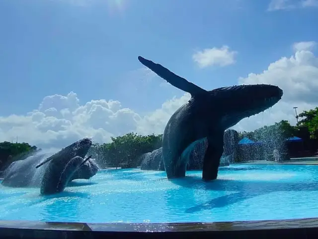 全台最大 屏東海洋生態博物館