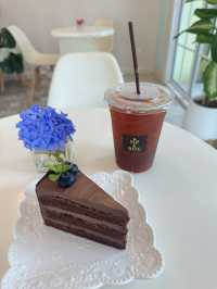 🍰Sip & Bite 