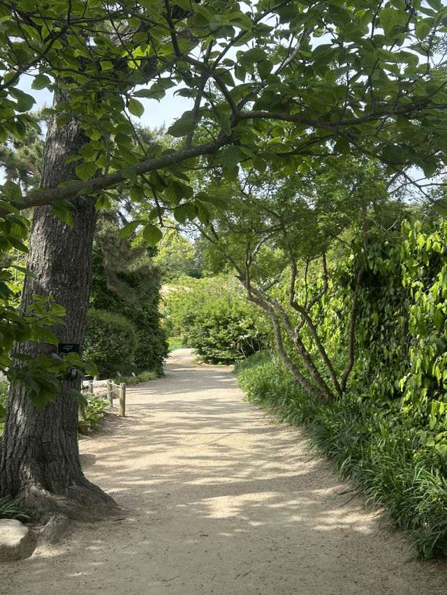 푸르른 숲길과 바다빛이 공존하는 치유의 정원, 힐링 산책 🌿🌊 
