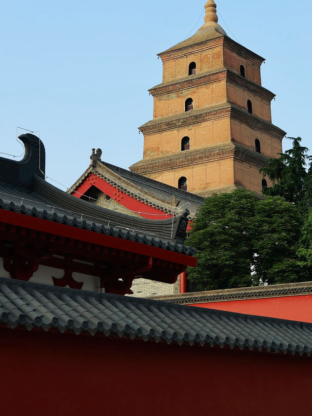 🕊️ Giant Wild Goose Pagoda — Xi’an’s Tang Dynasty Icon