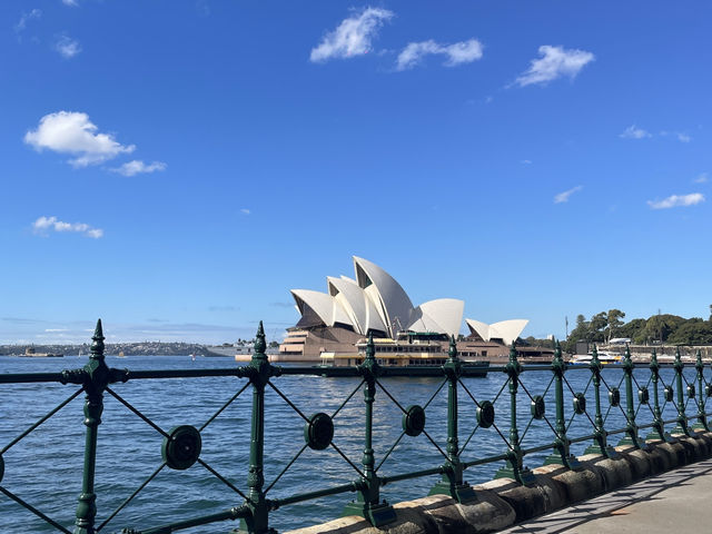 My Sydney 3 Days | Perfect mix of city & beach 🐨🌊