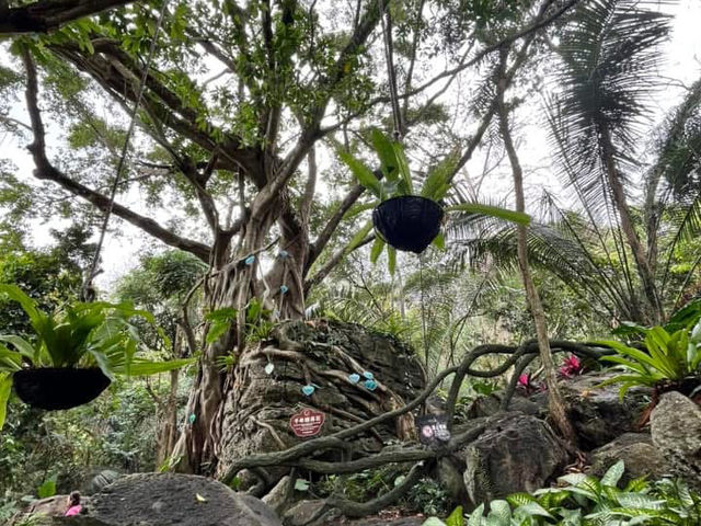 🌿 Yanoda — Hainan’s Tropical Rainforest Wonderland
