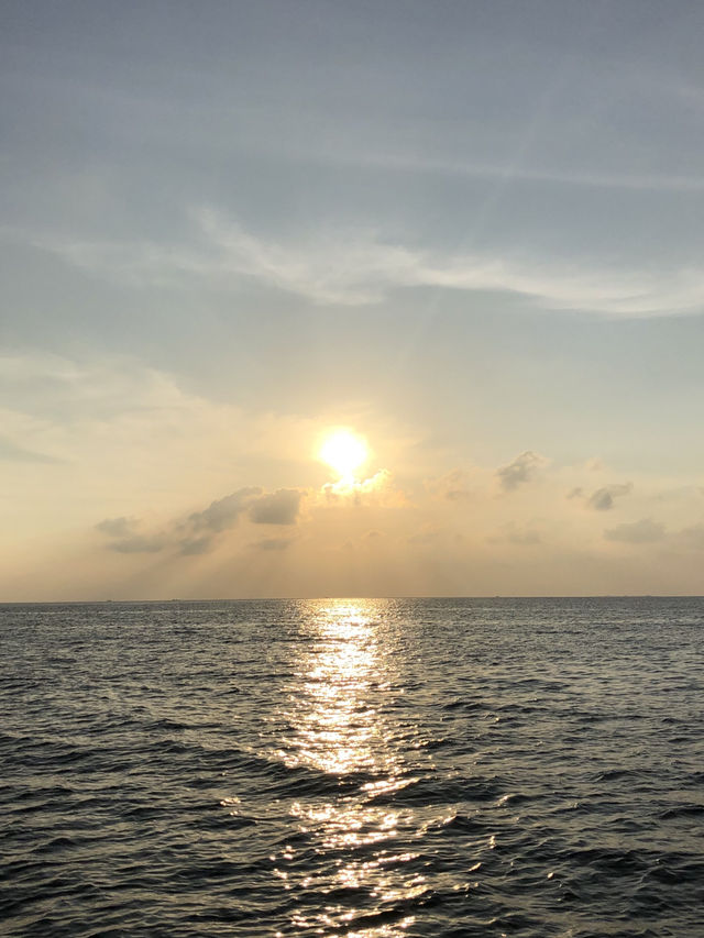 몰디브 로컬섬 마푸시