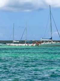 Tropical Paradise at Isla Saona