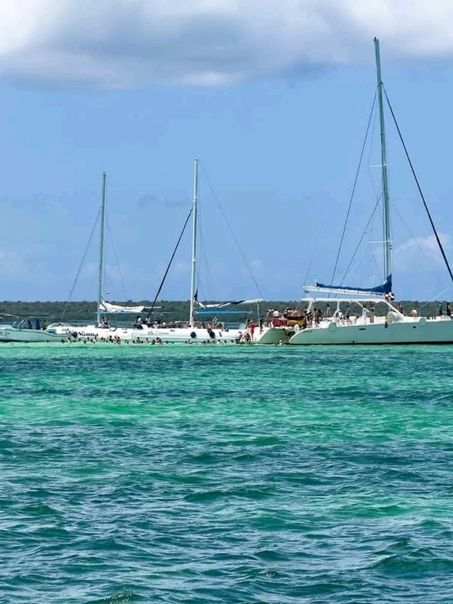 Tropical Paradise at Isla Saona