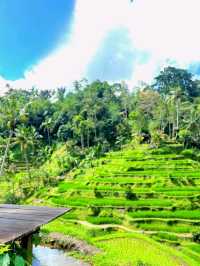 Discover the Charm of Ubud, Bali