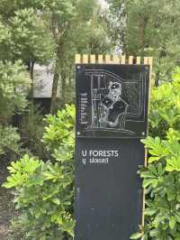 คาเฟ่ U FORESTS แกลง 