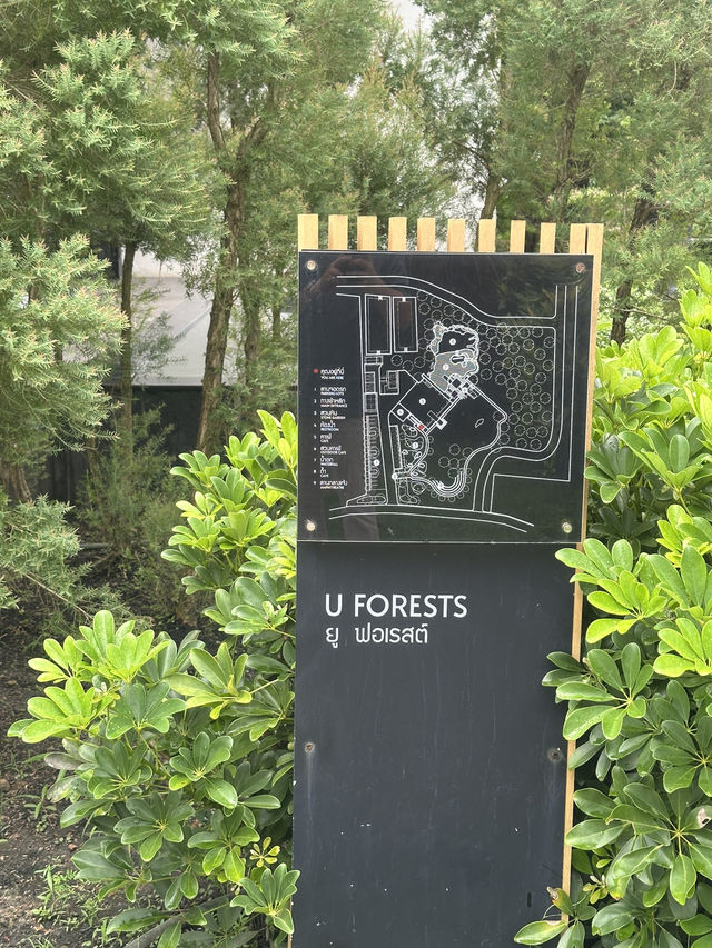 คาเฟ่ U FORESTS แกลง 