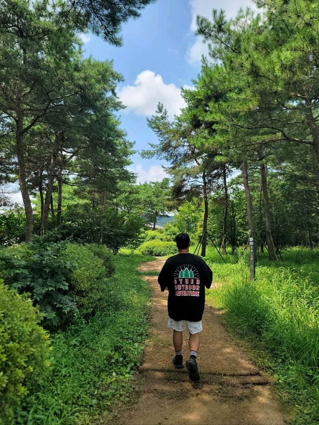 역사여행코스로 강력추천하는 장성여행지💚