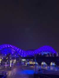 ครั้งแรกที่ Shanghai Disneyland 🌟 ใหญ่จนตาลาย 