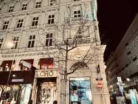 🇦🇹Waltzing Through Vienna, Moments in the City of Music
