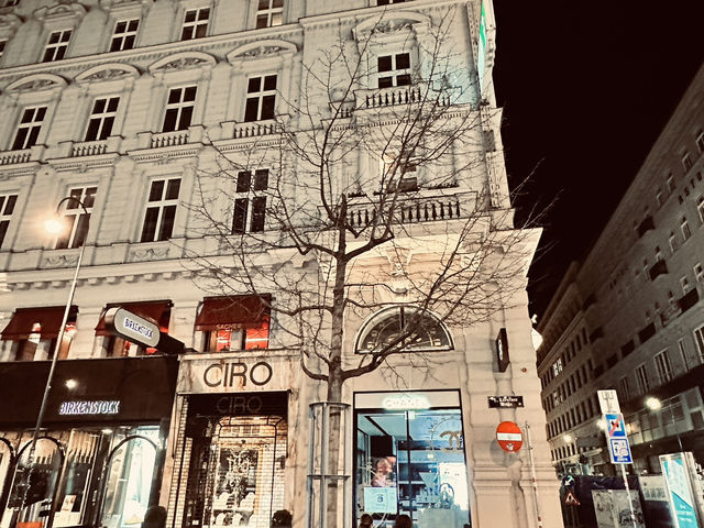 🇦🇹Waltzing Through Vienna, Moments in the City of Music 🇦🇹Waltzing Through Vienna, Moments in the City of Music